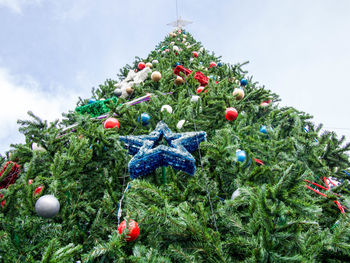 Low angle view of christmas tree against sky