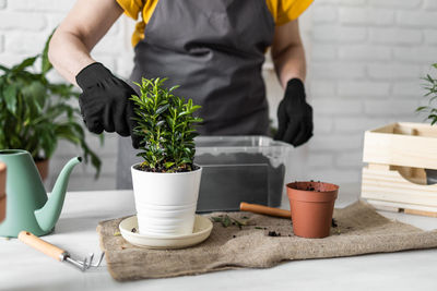 Midsection of woman holding potted plant on table