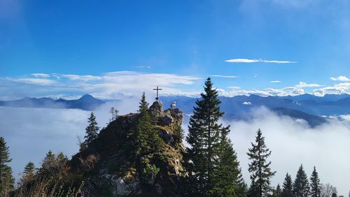 Panoramic view of trees and mountains against sky