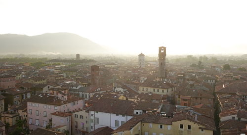 Evening view from the 45 m high tower torre guinigi in lucca, italy