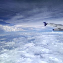 Cropped image of airplane flying over landscape