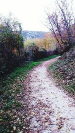 Scenic view of landscape against sky during autumn