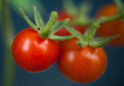 Close-up of strawberry