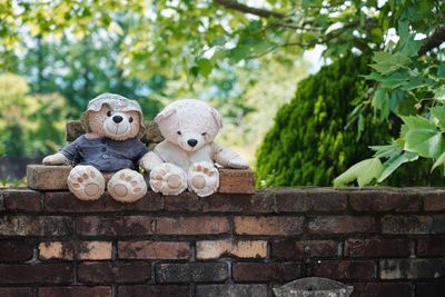 Close-up of stuffed toy against wall