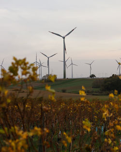 Wind turbines on field against sky