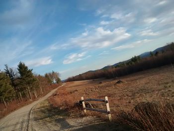 Empty road with trees in background