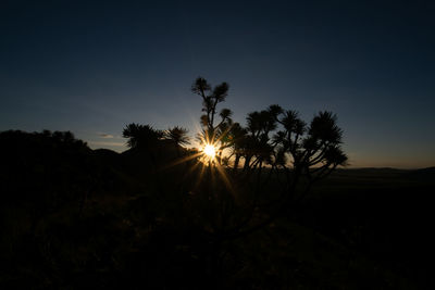 Sunlight streaming through silhouette trees on field against sky at sunset