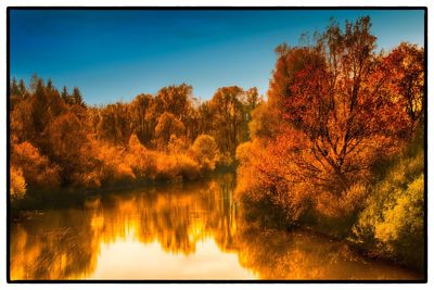Trees by lake against sky during sunset