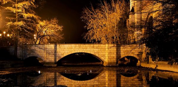 Reflection of trees in water at night