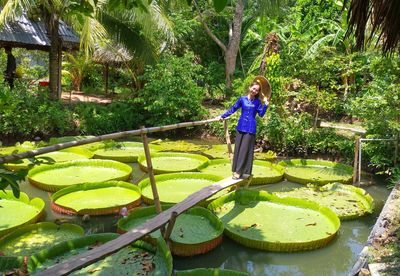 Rear view of woman standing by plants