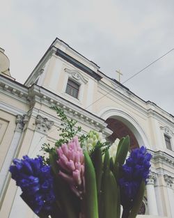 Low angle view of flowers against sky