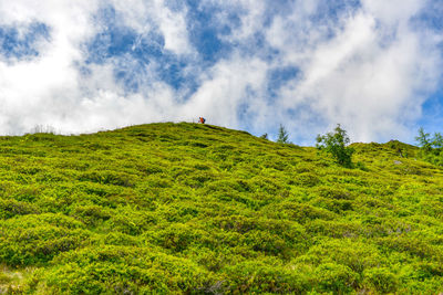 Low angle view of land against sky