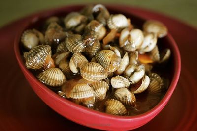 cockle