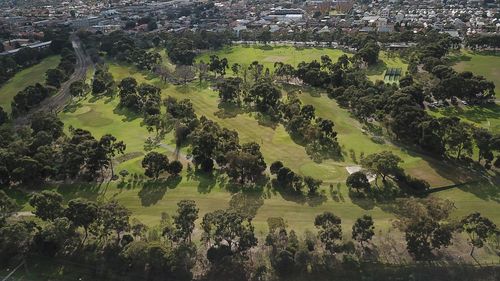 High angle view of trees growing on field