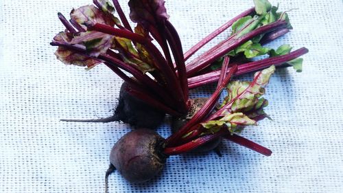 High angle view of vegetables on table