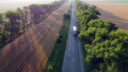 Empty road amidst trees