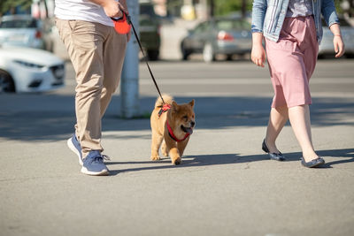 Low section of people walking with dog on road