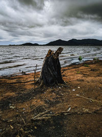 Ruined tree trunk at beach against sky