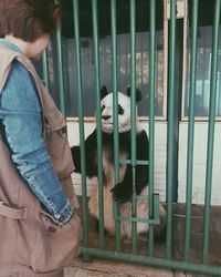 Man in cage at zoo