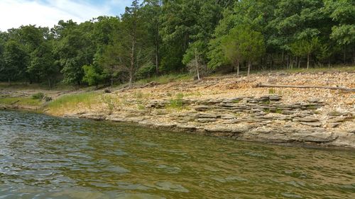 Scenic view of river in forest against sky