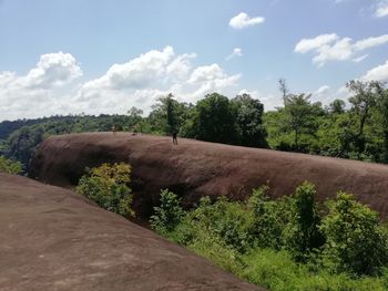 Scenic view of road amidst trees on field against sky