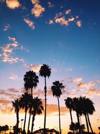 Low angle view of palm trees against sky