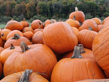 Stack of pumpkins on field