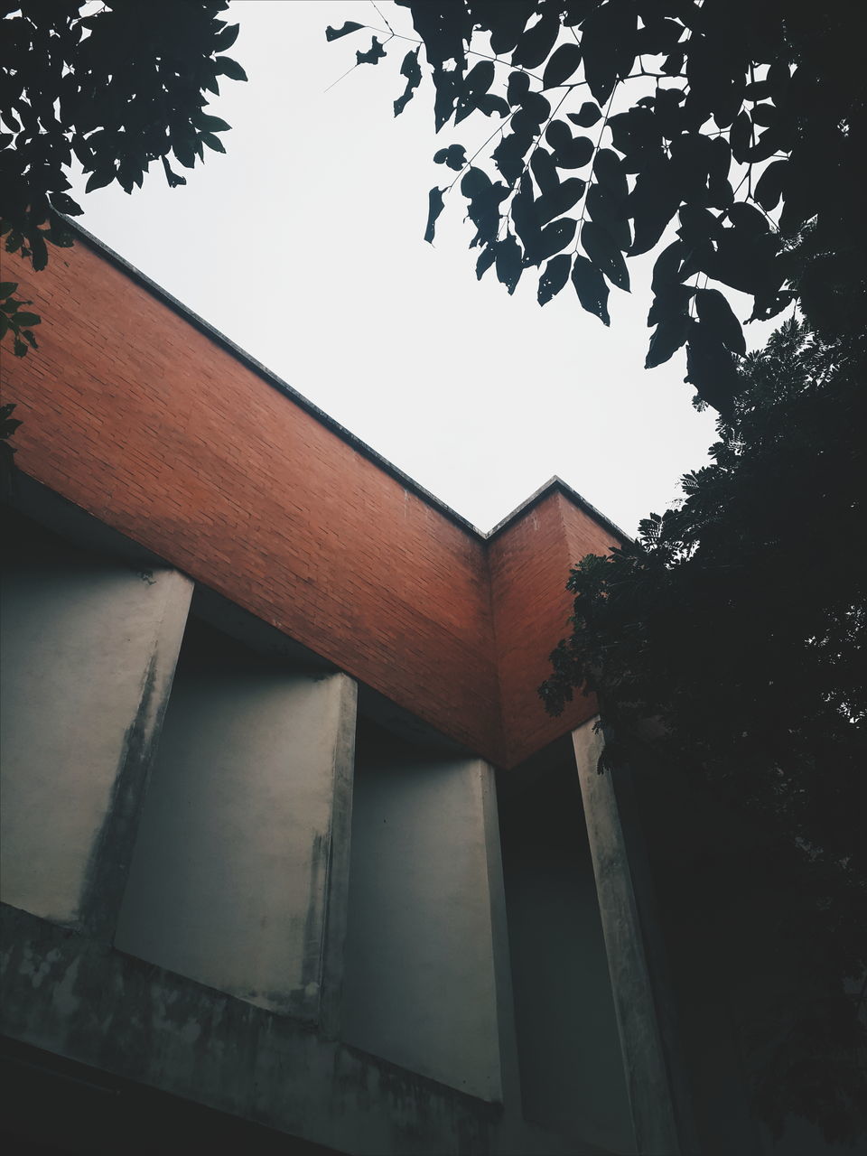 architecture, built structure, low angle view, tree, sky, no people, outdoors, day, growth, nature