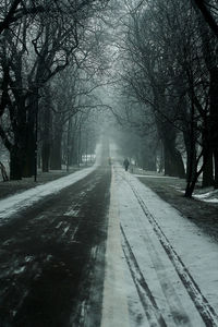 Road amidst trees in city during winter