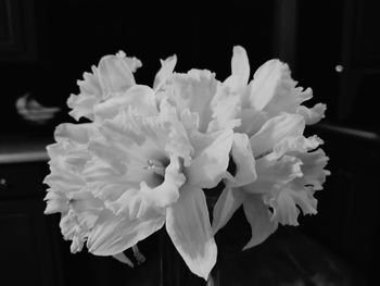 Close-up of flowers