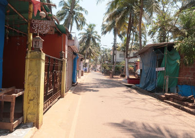 Footpath amidst palm trees and houses in city