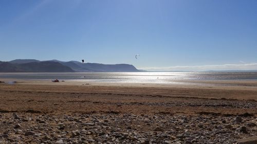 Scenic view of beach against clear blue sky