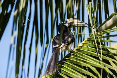 Bird perching on a branch