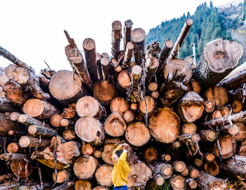 Woman walking by logs