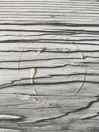 Close-up of wooden plank