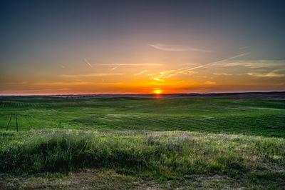 Scenic view of field against sky during sunset