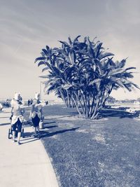 Rear view of woman walking on road