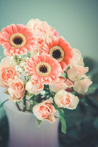 Close-up of pink roses