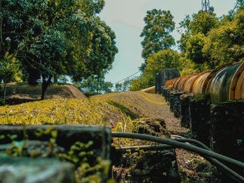 Railroad track against trees