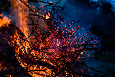 Close-up of burning tree at night