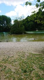 Scenic view of lake in forest against sky