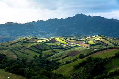 Scenic view of agricultural landscape against sky