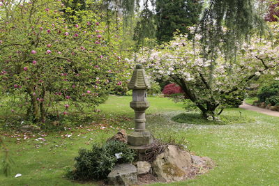 View of trees on landscape