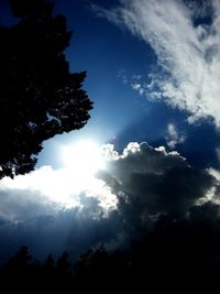 Low angle view of silhouette trees against sky