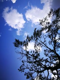 Low angle view of silhouette tree against sky