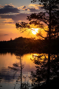 Silhouette trees by lake against sky during sunset