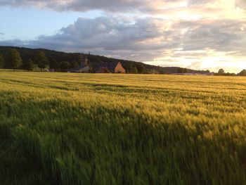 Tranquil view of field