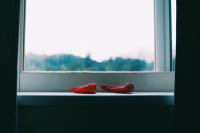 Close-up of ice cream on window sill