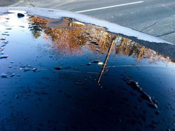 High angle view of puddle on road