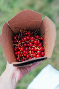 Woman's hand holds a paper box full of red currants.